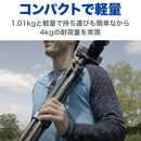 BENRO TSL08AN00 ベンロ スリム アルミニウム三脚 耐荷重4kg トラベル三脚 0型4段 国内正規品