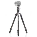 BENRO FRHN24CVX25 ベンロ ライノ カーボン三脚 ボール雲台 耐荷重18kg 最大脚径28.6mm ローアングル撮影 2型 4段 一脚 コンパクト アルカスイス互換 国内正規品