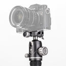 BENRO FRHN24CVX25 ベンロ ライノ カーボン三脚 ボール雲台 耐荷重18kg 最大脚径28.6mm ローアングル撮影 2型 4段 一脚 コンパクト アルカスイス互換 国内正規品