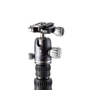 BENRO FRHN14CVX20 ベンロ ライノ カーボン三脚 ボール雲台 耐荷重16kg 最大脚径25.2mm ローアングル撮影 4段 ボタン式ロック 一脚 軽量 コンパクト 国内正規品